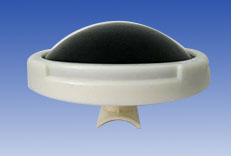 ������ؚ���