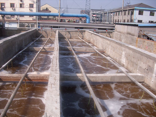 ���̰���